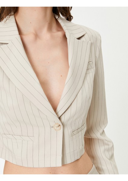 Crop Blazer Ceket Uzun Kollu indirimleri