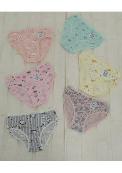 3402 Kız Çocuk Renkli Desenli Slip Külot 6 Adet