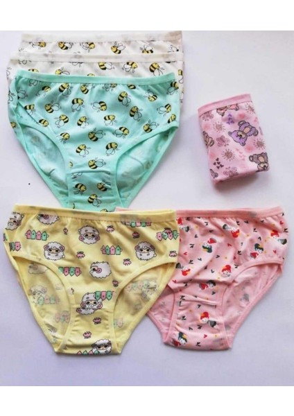 3402 Kız Çocuk Renkli Desenli Slip Külot 12 Adet fiyatları