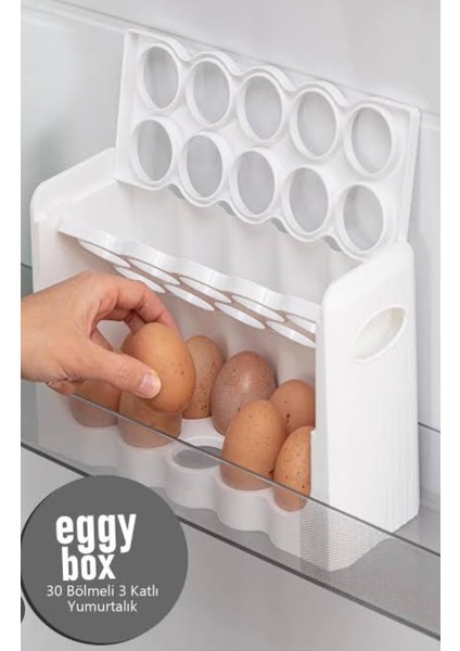 Yumurta Organizeri fiyatları