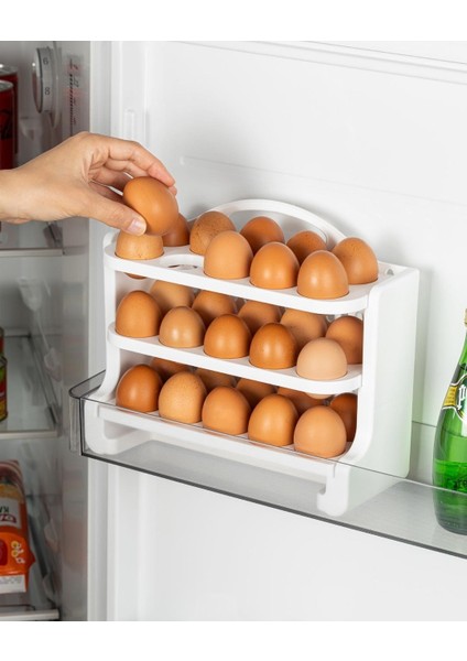 Yumurta Organizeri modelleri