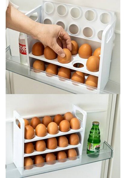 Yumurta Organizeri fırsatları