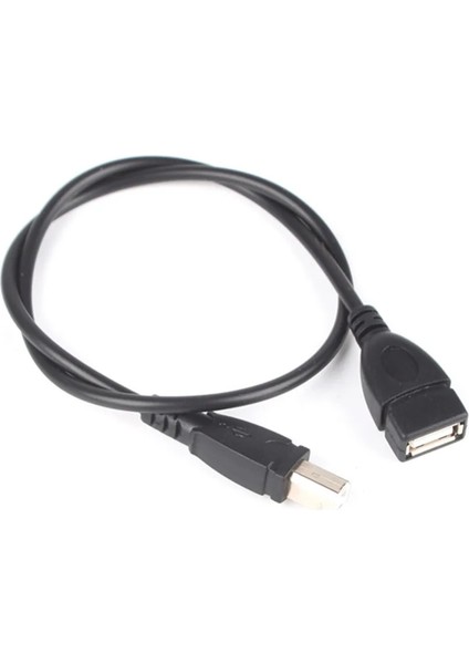 50 cm 1.5ft USB 2.0 Tip A Dişi USB B Erkek Tarayıcı Yazıcı Uzatma Adaptör Kablosu #260667 (Yurt Dışından)