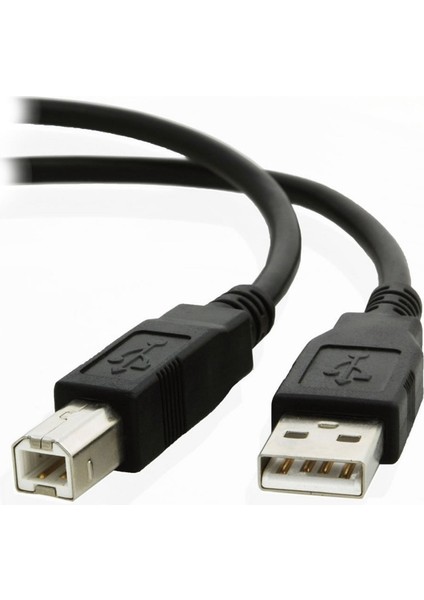 USB 2.0 Tarayıcı Yazıcı Kablosu Tip A Erkek Tip B Erkek USB Uzatma Baskı Kablosu Yazıcı HDD Için Yüksek Hızlı Şeffaf (Yurt Dışından) fırsatları