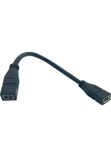 Mini Dp Ekran Bağlantı Noktası Dişi Uzatma Kablosu Kablosu Mimi Dp Dişi Kablo 30 Cm/0.3 M (Yurt Dışından) indirimleri