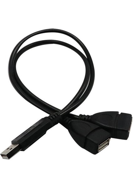 30CM Taşınabilir USB 2.0 A Erkek 2 Çift Dişi Jack Y Splitter Hub Güç Kablosu Adaptör Kablosu Veri Güç Şarjı Için (Yurt Dışından)