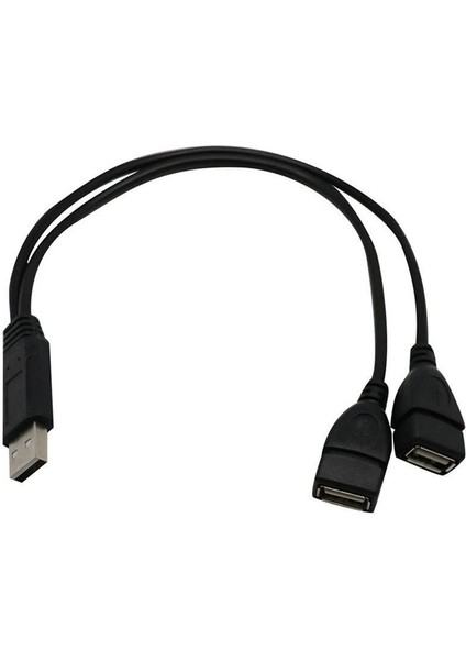 30CM Taşınabilir USB 2.0 A Erkek 2 Çift Dişi Jack Y Splitter Hub Güç Kablosu Adaptör Kablosu Veri Güç Şarjı Için (Yurt Dışından)