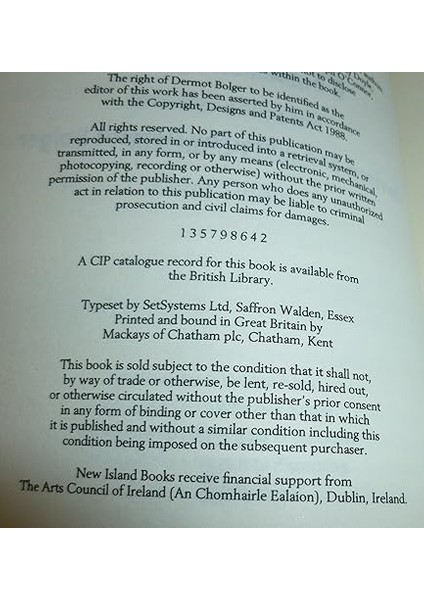Finbar's Hotel - Dermot Bolger