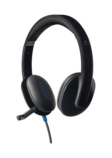 Logıtech H540 USB Kablolu Kulaklık Siyah 981-000480