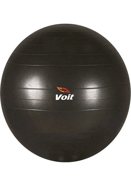 Gymball 55 cm Syh Pompalı