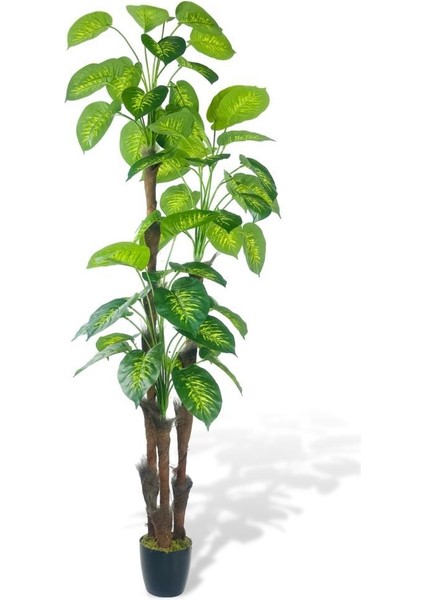 Yapay Çiçek Difenbahya Sarı Yeşil 3katlı 190CM 54YAPRAK Siyah Plastik Saksıda Yapay Bitki