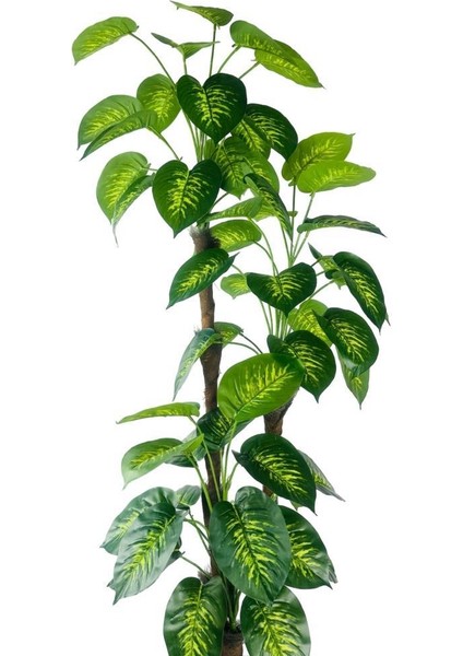 Yapay Çiçek Difenbahya Sarı Yeşil 3katlı 190CM 54YAPRAK Siyah Plastik Saksıda Yapay Bitki