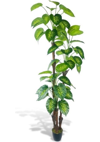 Yapay Çiçek Difenbahya Sarı Yeşil 3katlı 190CM 54YAPRAK Siyah Plastik Saksıda Yapay Bitki
