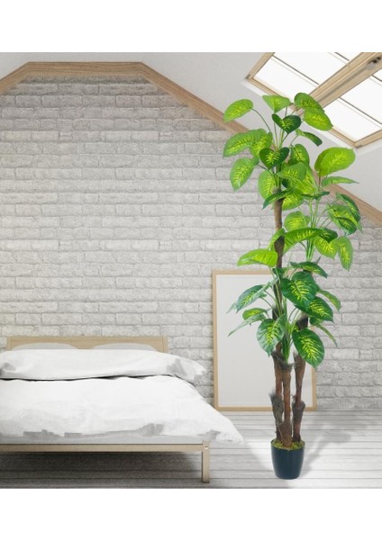 Yapay Çiçek Difenbahya Sarı Yeşil 3katlı 190CM 54YAPRAK Siyah Plastik Saksıda Yapay Bitki