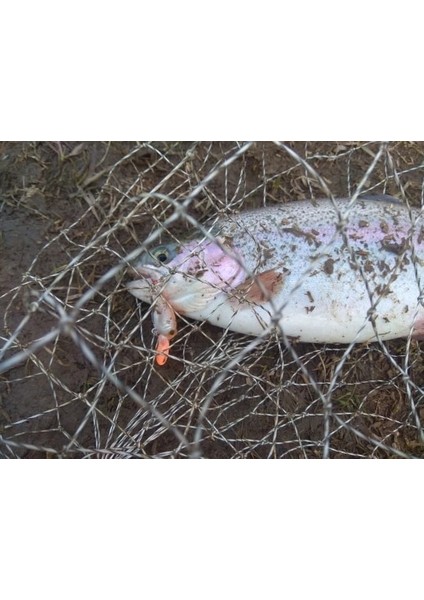 No.10 Tarzı G Krank Yemi Sert Plastik Balıkçılık Yemleri, Kontbas Wobbler Tatlı Su Somonu Crappie Balıkçılık Yemleri (Yurt Dışından) modelleri