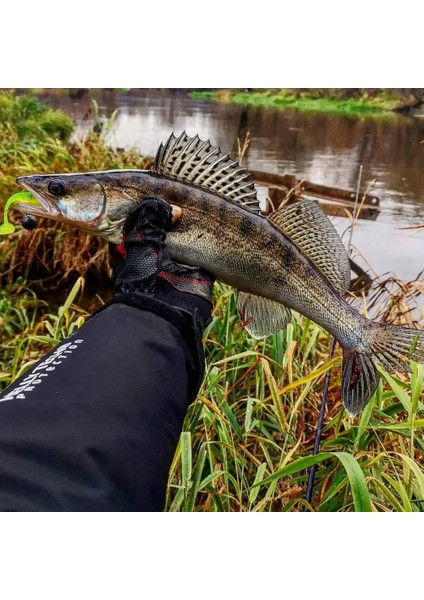M Tarzı 80MM 10 Adet Supercontinentyeni Balıkçılık Yemleri 5cm 8cm 9.5cm 11CM Yapay Yemler Wobblers Yumuşak Yemler Shad Sazan Silikon Balıkçılık Yemleri (Yurt Dışından) indirimleri