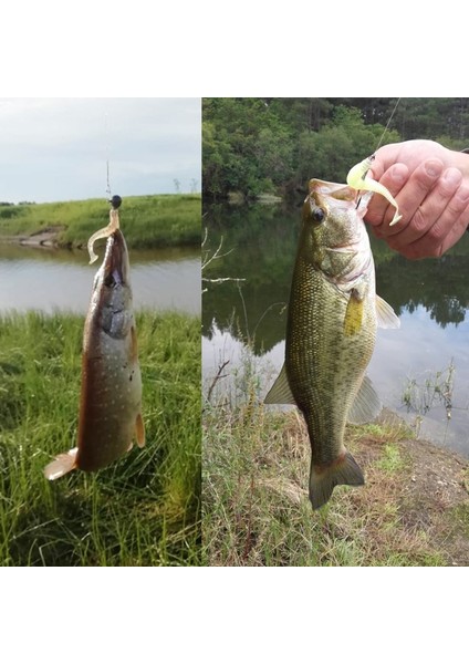 E Stili 5pcslot Balık Kokusu Silikon Solucan Balıkçılık Yumuşak Lures 9.5cm 3g Jig Wobbler Kuyruk Swimbait Aritificial Yem Bass Pike Pesca Takımı (Yurt Dışından) indirimleri