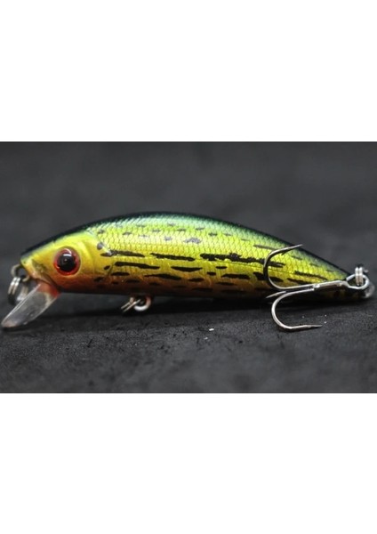 M219X70 Stili Wlure 8g 7cm Balıkçılık Cazibesi Sert Yem Sazan Balıkçılık Tatlı Su Böcek Yemi Sahte Cazibesi Balıkçılık Jerkbait Minnow Crankbait M219 (Yurt Dışından)