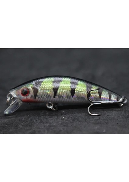 M219X67 Stili Wlure 8g 7cm Balıkçılık Cazibesi Sert Yem Sazan Balıkçılık Tatlı Su Böcek Yemi Sahte Cazibesi Balıkçılık Jerkbait Minnow Crankbait M219 (Yurt Dışından)