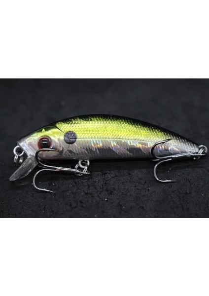 M219X84 Stili Wlure 8g 7cm Balıkçılık Cazibesi Sert Yem Sazan Balıkçılık Tatlı Su Böcek Yemi Sahte Cazibesi Balıkçılık Jerkbait Minnow Crankbait M219 (Yurt Dışından)