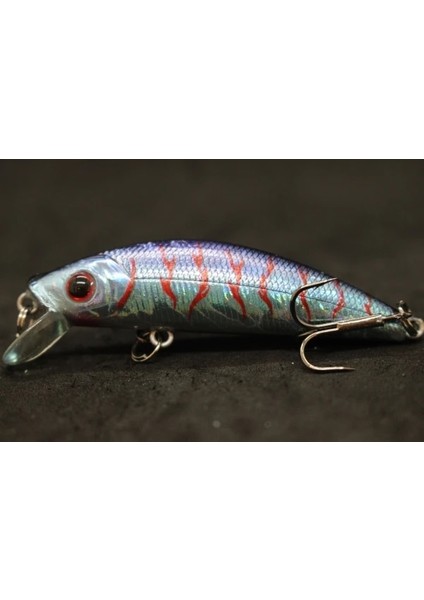 M219X66 Stili Wlure 8g 7cm Balıkçılık Cazibesi Sert Yem Sazan Balıkçılık Tatlı Su Böcek Yemi Sahte Cazibesi Balıkçılık Jerkbait Minnow Crankbait M219 (Yurt Dışından)