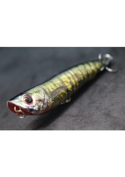 HW622X460 Stili Wlure 10CM 17G Uzun Döküm Topwater Popper Yürüyüş Cazibesi Yüzer Yem Kesme Bıçağı Tiz Kancalar Gerçekçi Balıkçılık Cazibesi HW622 (Yurt Dışından)