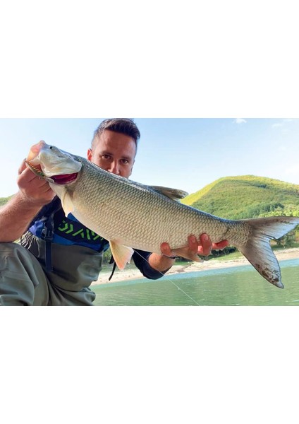 Yeşil Mor Tarzı 65 mm Jerry Tüfek Alabalık Minnow Sert Lures Rock G Balıkçılık Pislik Bait Bas Yavaş Batan Fiş 4.8g'de Olta Balıkçılığı (Yurt Dışından)