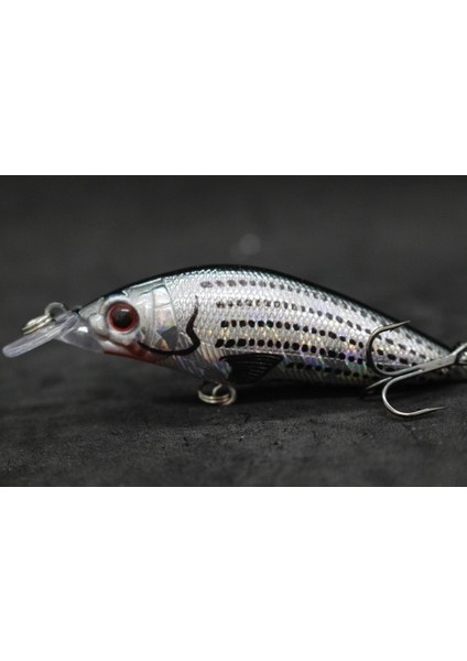 M583X72 Stili Wlure 8.1cm 7.1g Geniş Yüzme Eylem Kısa Gövde #6 Kanca Böcek Yemi Tatlı Su 3D Sert Gözler Crankbait Cazibesi Balıkçılık M583 (Yurt Dışından)