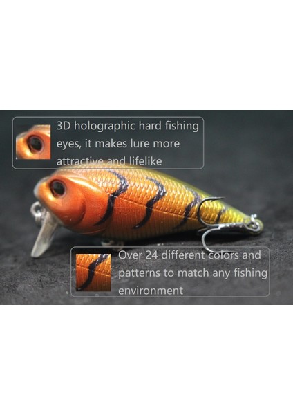 C655X71 Stili Wlure 5.7cm 9.4g Subsurface Wake Bait Wobbler 0.2 Metre Derinlik Büyük Wobble Action Balıkçılık C655 (Yurt Dışından) modelleri