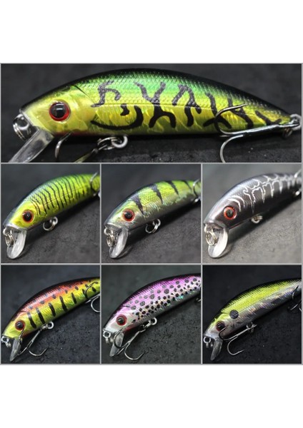 M219X79 Stili Wlure 8g 7cm Balıkçılık Cazibesi Sert Yem Sazan Balıkçılık Tatlı Su Böcek Yemi Sahte Cazibesi Balıkçılık Jerkbait Minnow Crankbait M219 (Yurt Dışından) fiyatları