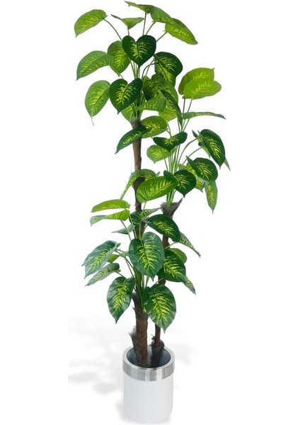 Yapay Çiçek Difenbahya Sarı Yeşil 3katlı 190CM 54YAPRAK Gümüş Kemerli Beyaz Saksıda Yapay Bitki