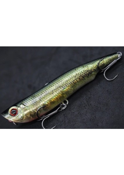 HW622X438 Stili Wlure 10CM 17G Uzun Döküm Topwater Popper Yürüyüş Cazibesi Yüzer Yem Kesme Bıçağı Tiz Kancalar Gerçekçi Balıkçılık Cazibesi HW622 (Yurt Dışından)