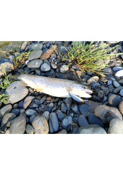 No.4 Tarzı 50MM 6.8g Countbaking Minnow Wobblers Balık Tutmak Için Yemler, Sabit Ağırlık Alabalık Balık Tutma Yemi Pislik Yemleri Crankbait (Yurt Dışından) fırsatları