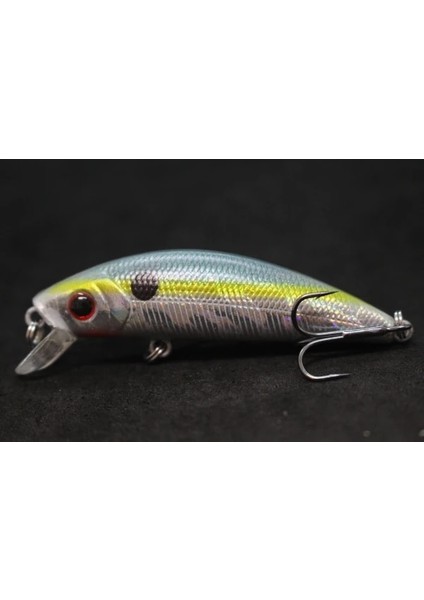 M219X89 Stili Wlure 8g 7cm Balıkçılık Cazibesi Sert Yem Sazan Balıkçılık Tatlı Su Böcek Yemi Sahte Cazibesi Balıkçılık Jerkbait Minnow Crankbait M219 (Yurt Dışından)