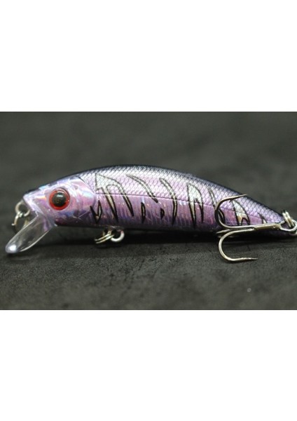 M219X75 Stili Wlure 8g 7cm Balıkçılık Cazibesi Sert Yem Sazan Balıkçılık Tatlı Su Böcek Yemi Sahte Cazibesi Balıkçılık Jerkbait Minnow Crankbait M219 (Yurt Dışından)