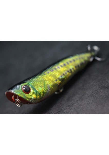 HW622X413 Stili Wlure 10CM 17G Uzun Döküm Topwater Popper Yürüyüş Cazibesi Yüzer Yem Kesme Bıçağı Tiz Kancalar Gerçekçi Balıkçılık Cazibesi HW622 (Yurt Dışından)