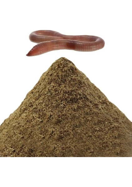 5g Gümüş Sazan Tarzı Carpfish Besleyici Balık Yemi Lezzet Balıkçılık Için Katkı Maddesi Malzeme Ürün Toprak Solucanıredwormshrimpsilkcornsnail 1 Torba 5g (Yurt Dışından) fiyatları