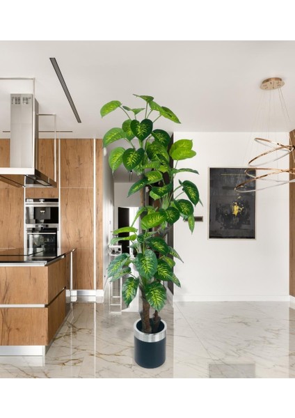 Yapay Çiçek Difenbahya Sarı Yeşil 3katlı 190CM 54YAPRAK Gümüş Kemerli Siyah Saksıda Yapay Bitki