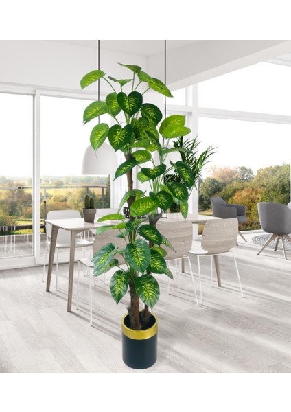 Yapay Çiçek Difenbahya Sarı Yeşil 3katlı 190CM 54YAPRAK Gold Kemerli Siyah Saksıda Yapay Bitki