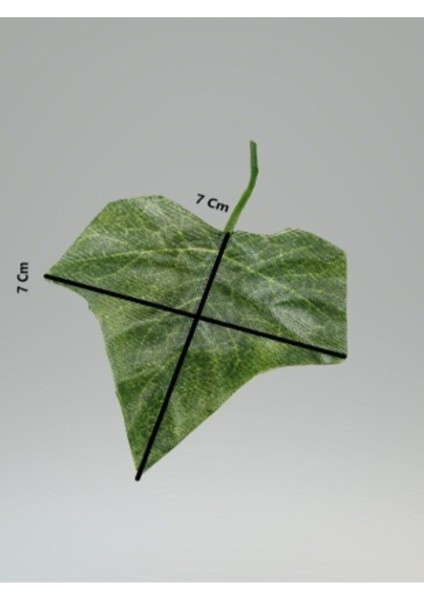 Tekno Trust Plastik Dekoratif Yeşil Yapraklı Yapay Sarmaşık 230 Cm. 115 cm modelleri