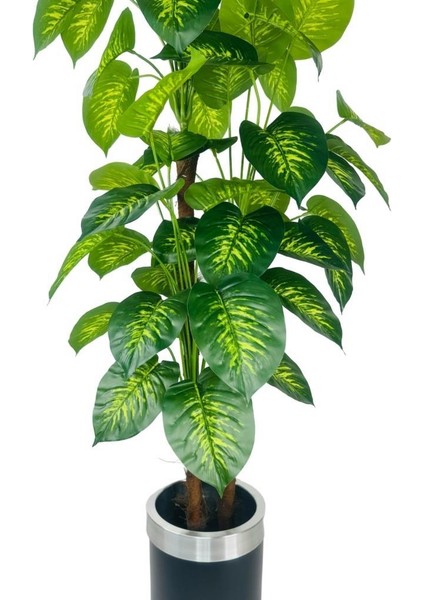 Yapay Çiçek Difenbahya Sarı Yeşil 3katlı 160CM 54YAPRAK Gümüş Kemerli Siyah Saksıda Yapay Bitki