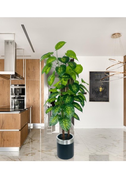 Yapay Çiçek Difenbahya Sarı Yeşil 3katlı 160CM 54YAPRAK Gümüş Kemerli Siyah Saksıda Yapay Bitki