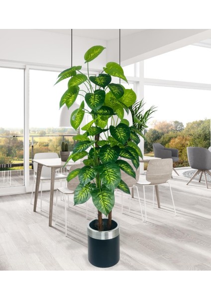 Yapay Çiçek Difenbahya Sarı Yeşil 3katlı 160CM 54YAPRAK Gümüş Kemerli Siyah Saksıda Yapay Bitki