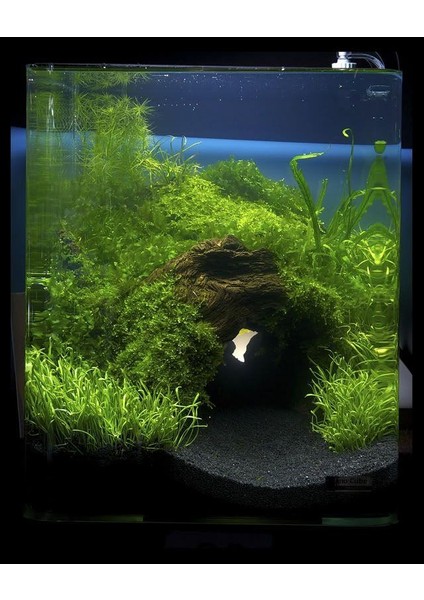 20 kg 1-2mm Hagen Siyah Bitki Kumu Akvaryum Kumu 20 kg indirimleri