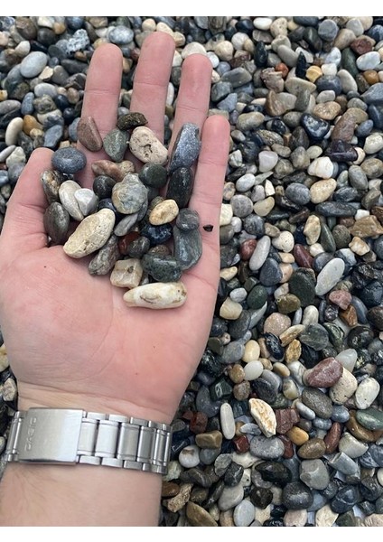 Doğal Dalaman Dere Çakılı Taşı 10 kg 1-1,5cm Dere Çakıl Bahçe Peyzaj Saksı Teraryum Akvaryum Taş modelleri