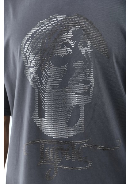 Unisex Oversize Taşlı Bisiklet Yaka T-Shirt - Füme modelleri