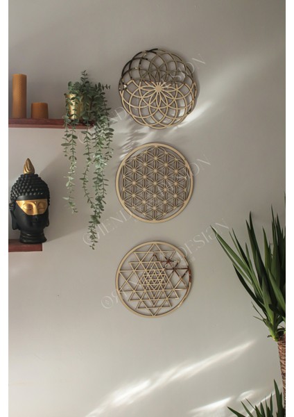 3 Kutsal Geometri Yaşam Çiçeği - Torus - Sri Yantra 3'lü Dönüşüm Seti (Gold) Altın Geometrik Plasti