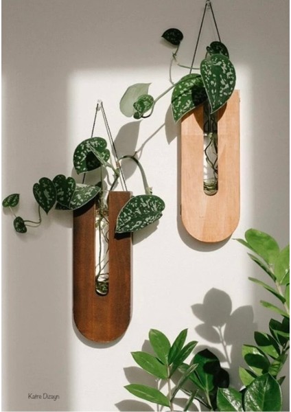 Çok Renkli Ahşap Dekoratif 4'lü Duvar Çiçekliği (Çiçekler Dahil Değildir) fiyatları