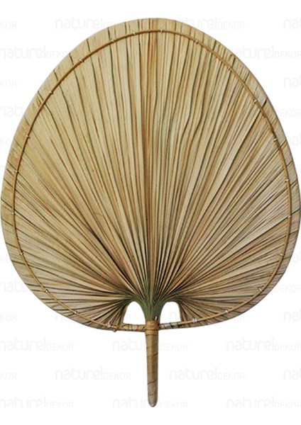 Bambu Bohem Palmiye Yaprağı, Japon Yelpazesi 42X55 Cm, Duvar Dekorasyon, Duvar Süsü, Iskandinav, Mo