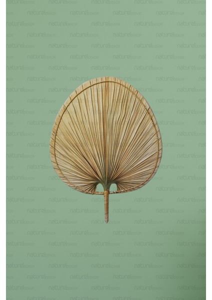 Bambu Bohem Palmiye Yaprağı, Japon Yelpazesi 42X55 Cm, Duvar Dekorasyon, Duvar Süsü, Iskandinav, Mo